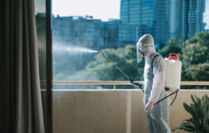 How Monsoon Season Affects Termite Activity in Anthem, AZ